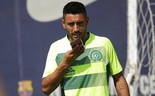 的情感纽带 的情感纽带